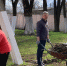 ЦКД - субботник работников культуры - Центр культуры и досуга