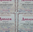 Участие в областном традиционном зимнем празднике "Святки" в Витославлицах - Краеведческий музей