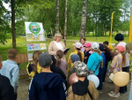 В рамках губернаторского проекта "Новгородское лето"